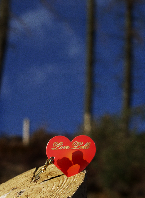 love-lolli