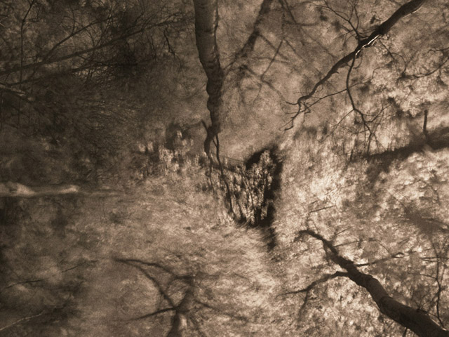 forest-fire-ii6