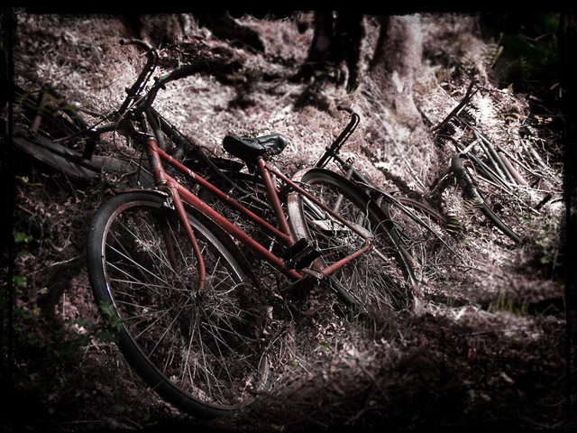 6bikes-1