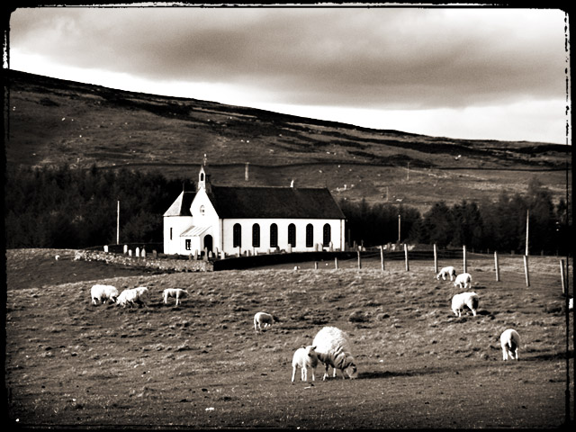 6sheep-church