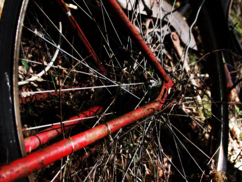 bikes-2