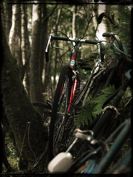 bikes-3