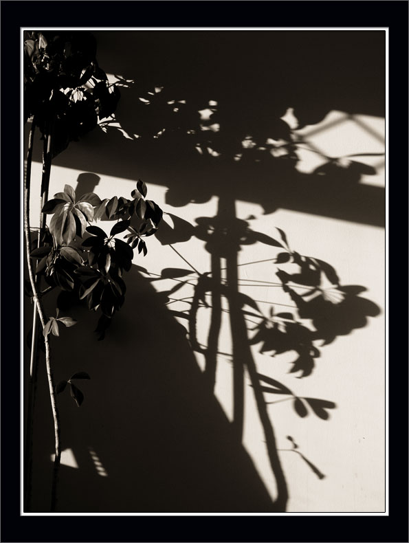 p2211591-copy