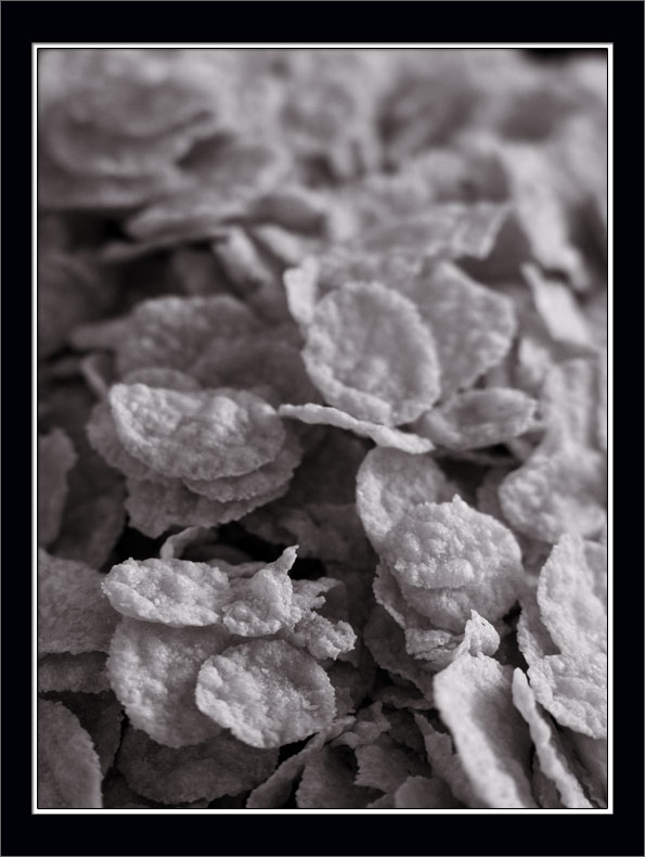 p2221603-copy
