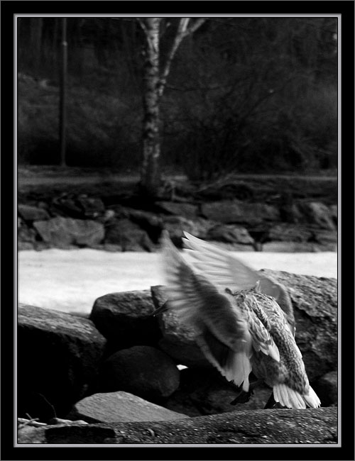 p4072073-copy