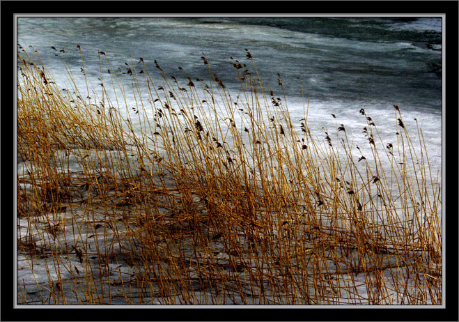 p4072080-copy