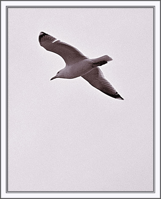 B11819 019-copy