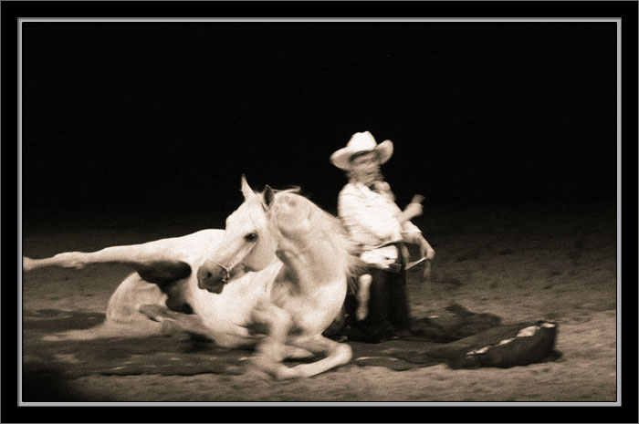 p6172533-copy