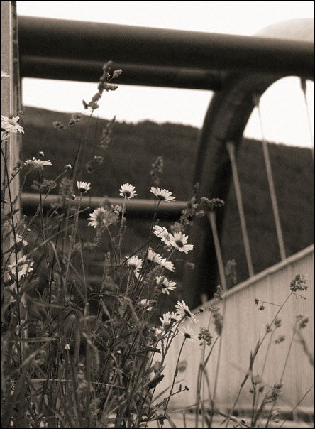 p7052665-copy
