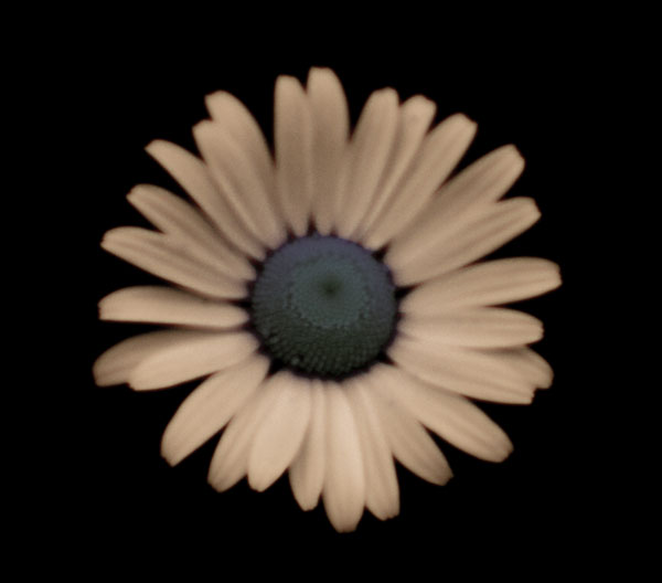 p7052672-copy