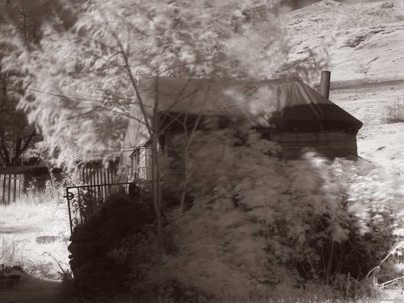 ir-stag-shed-duotone