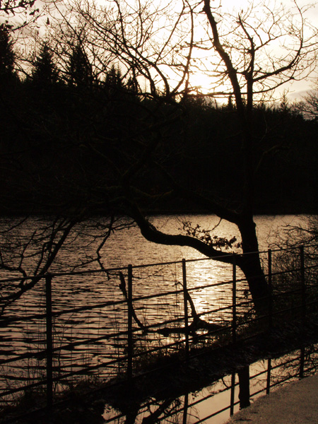 Loch Ard, near Aberfoyl
