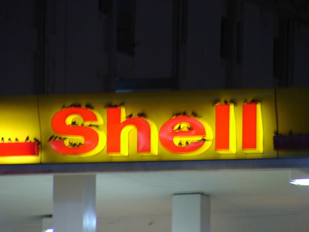 Sparrows roosting on Shell sign.