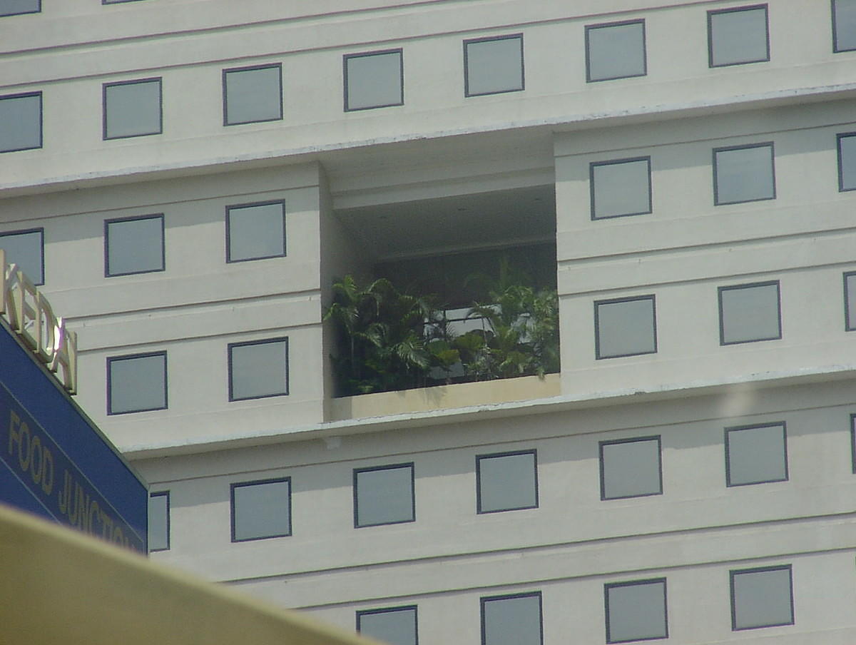 Extravagant window box.