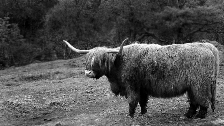 coo2