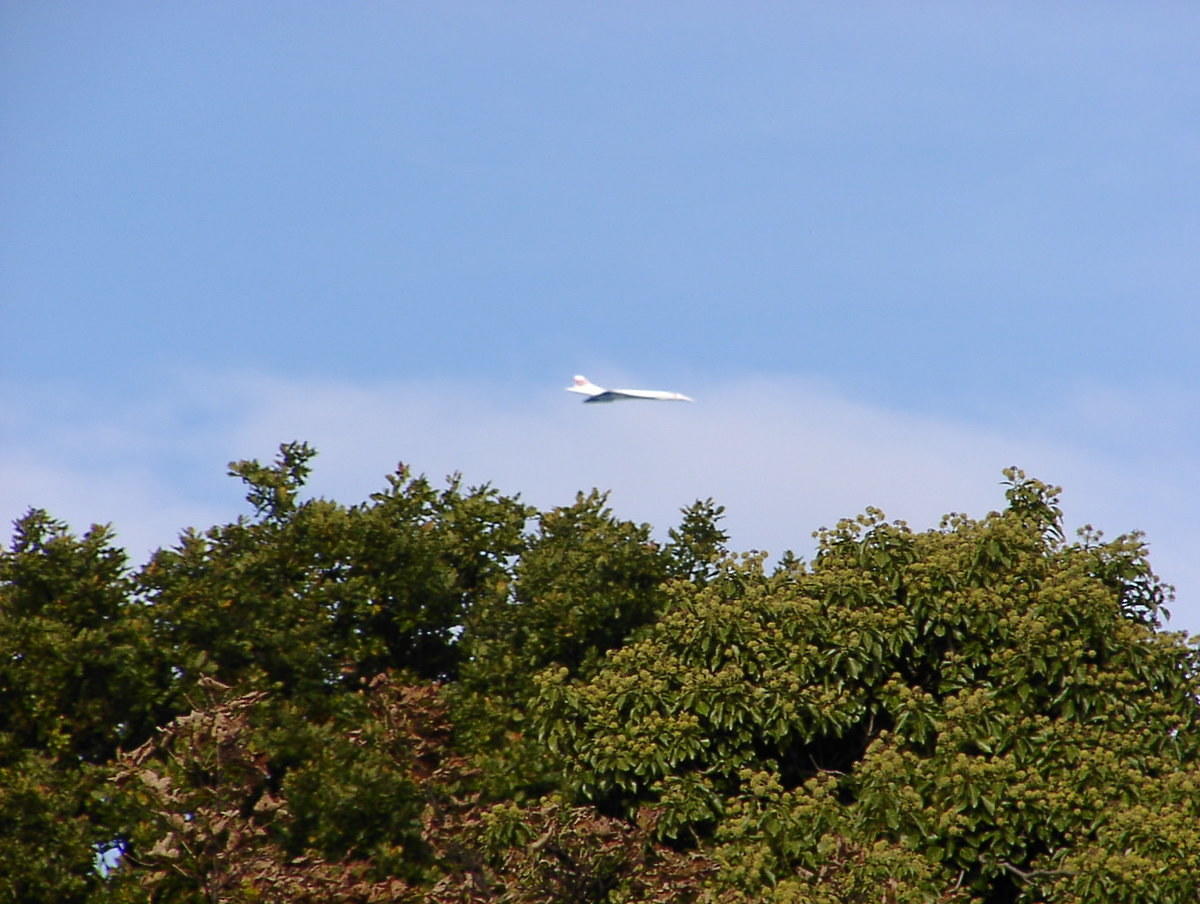 pa240012