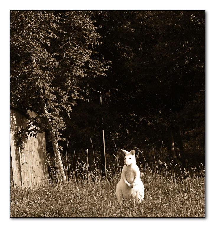 p8060233-copy