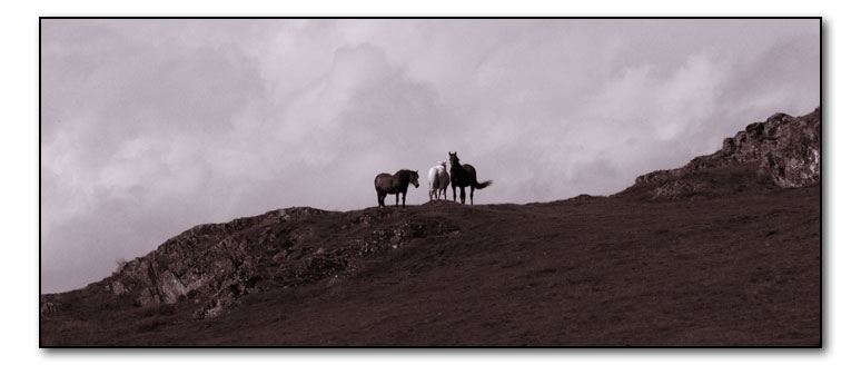 p8070249-copy