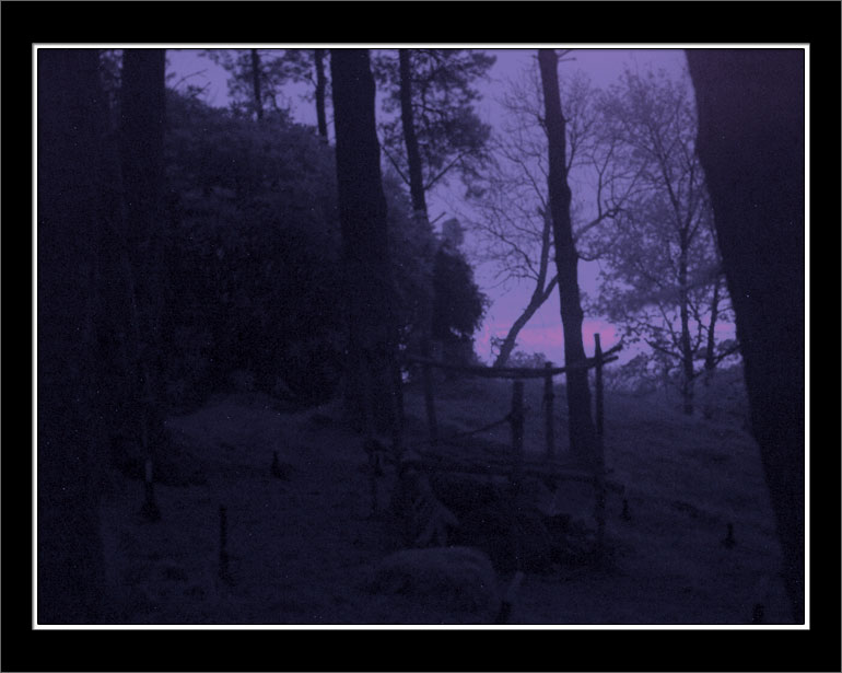 pa220757-copy