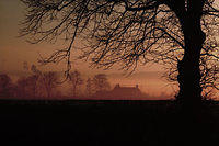 house-fog