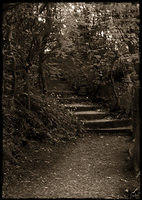 alva-path