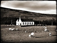 6sheep-church