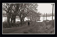 p1281387-copy