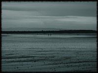 p1141255-copy