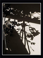 p2211591-copy