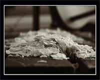 p2221602-copy