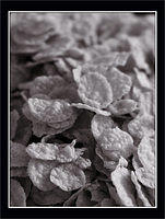 p2221603-copy