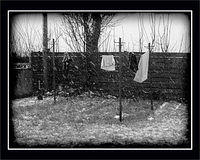 p2231610-copy