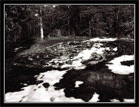 p4062035-copy