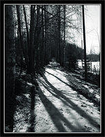 p4062055-copy