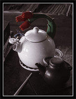 p4062058-copy