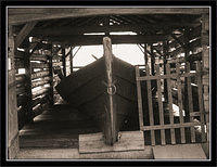 boat2-copy