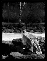 p4072073-copy