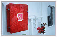 B11819 004-copy