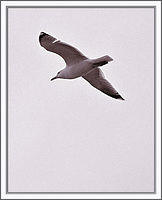 B11819 019-copy