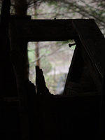 p4021795re