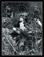 p6092508-copy