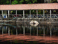 p7052682-copy