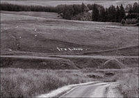 p7062720-copy