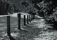 p7162817-copy