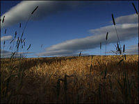 p7162825-copy