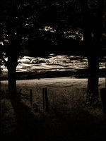 p7162835-copy