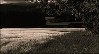 p7162839-copy