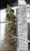 p7092755-copy