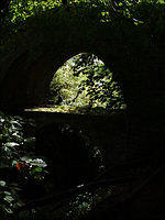 pa133035-copy