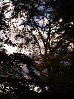 pa133037-copy